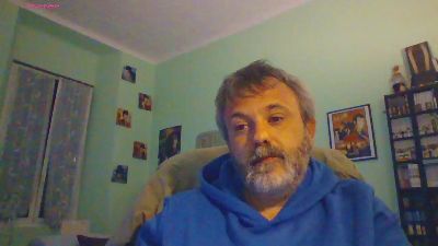 sonoboris webcam model stream image