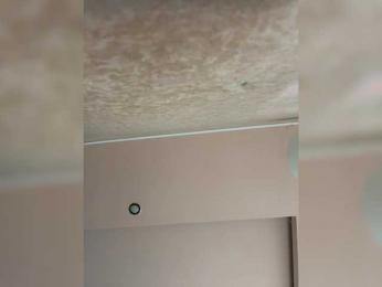 _Daen_ webcam model stream image