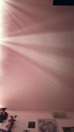 Toroduro22 webcam cam4 model stream image