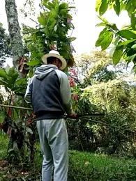 AlphaAlterX webcam model stream image