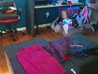 msbutterworths webcam model stream image