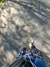 Ssk10N webcam stripchat model stream image