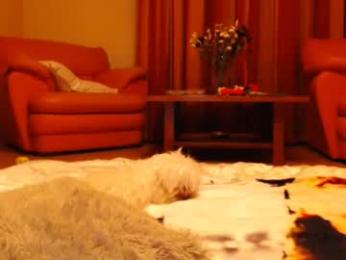 andrasweetie webcam chaturbate model stream image