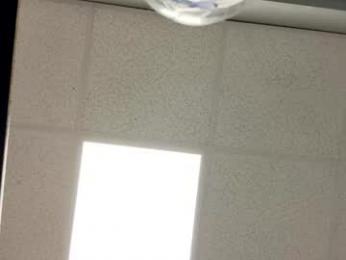 dblum75 webcam model stream image