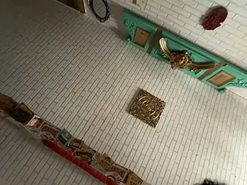 amo660 webcam model stream image