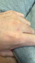 Porcellone22 webcam model stream image