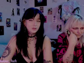 PROXY webcam model stream image