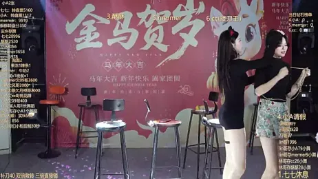 SK010 webcam model stream image