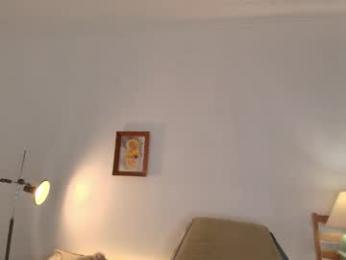 jsmine_ webcam model stream image