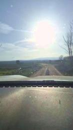 Gerontofilia webcam model stream image