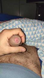 Vittosto webcam cam4 model stream image