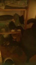 emece3 webcam model stream image