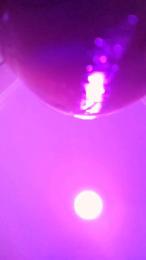 Fredylover webcam cam4 model stream image