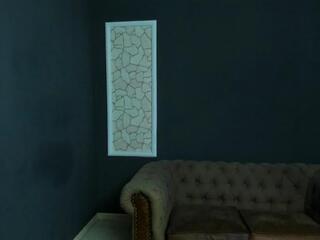 Brian Hunt webcam model stream image