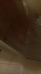 hercules100 webcam model stream image