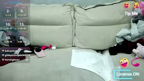 xiaoLI-2025 webcam model stream image