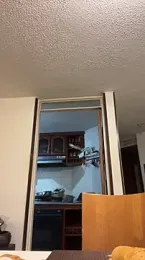 toritoga webcam model stream image