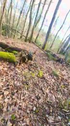 Legtiste webcam model stream image