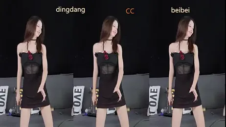 SR-101 webcam model stream image