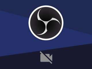 lemmonns webcam model stream image