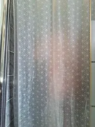 pachapeter webcam model stream image