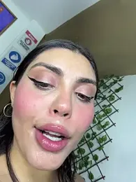 zui_lu webcam model stream image