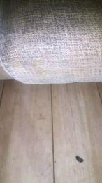 Srj26 webcam cam4 model stream image