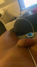 baumstamm webcam model stream image