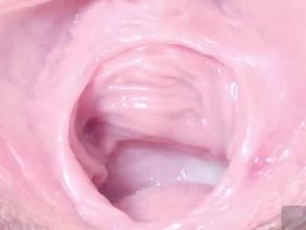 orchidekitty webcam chaturbate model stream image