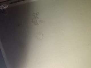 cadillacjonnyb webcam model stream image