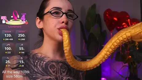 EvaCanton webcam model stream image