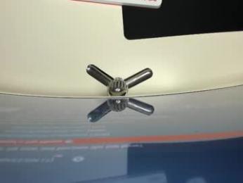 effiemur webcam model stream image