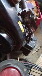 thompson3 webcam model stream image