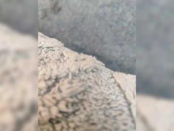 Angelia22 webcam bongacams model stream image