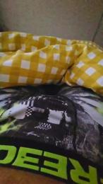 Fbesto04 webcam cam4 model stream image