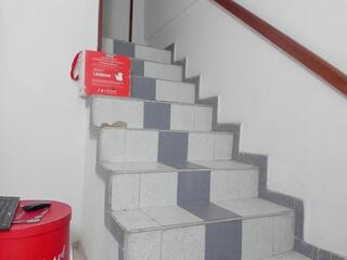 Percy Ladd webcam model stream image