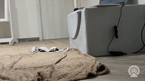 lavogliosaa webcam model stream image