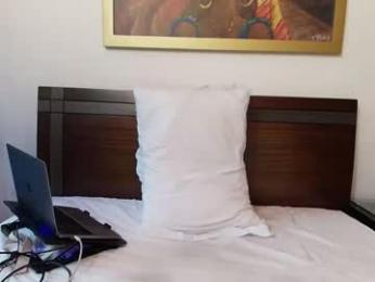 midgettripod1 webcam chaturbate model stream image