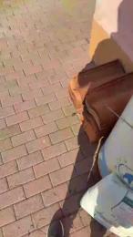 lucapublic webcam cam4 model stream image