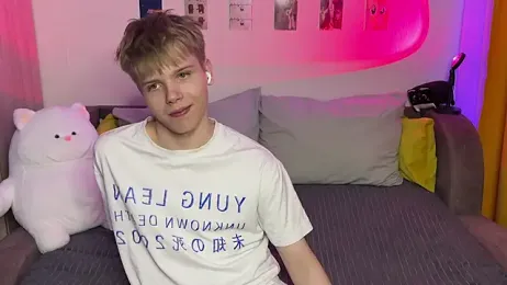 metarion webcam model stream image