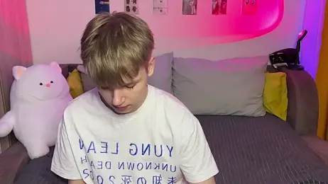 metarion webcam model stream image