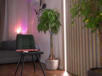 kateline webcam model stream image