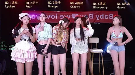 SG-0310 webcam model stream image