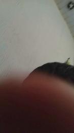 Novinhogtz18y webcam model stream image