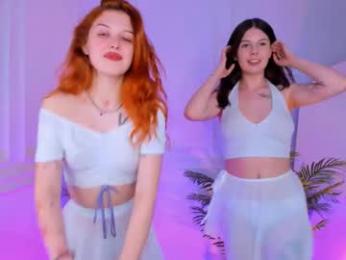 shiny_bell webcam model stream image