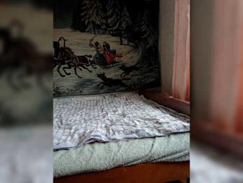 Adelj webcam bongacams model stream image