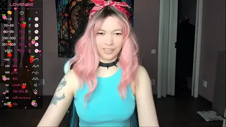 Project_hisoka webcam model stream image