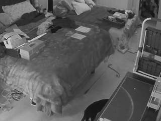 voyeurcam-house-charleys-room webcam model stream image