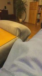 GeilerSack65 webcam model stream image