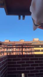 Cataleya97 webcam model stream image